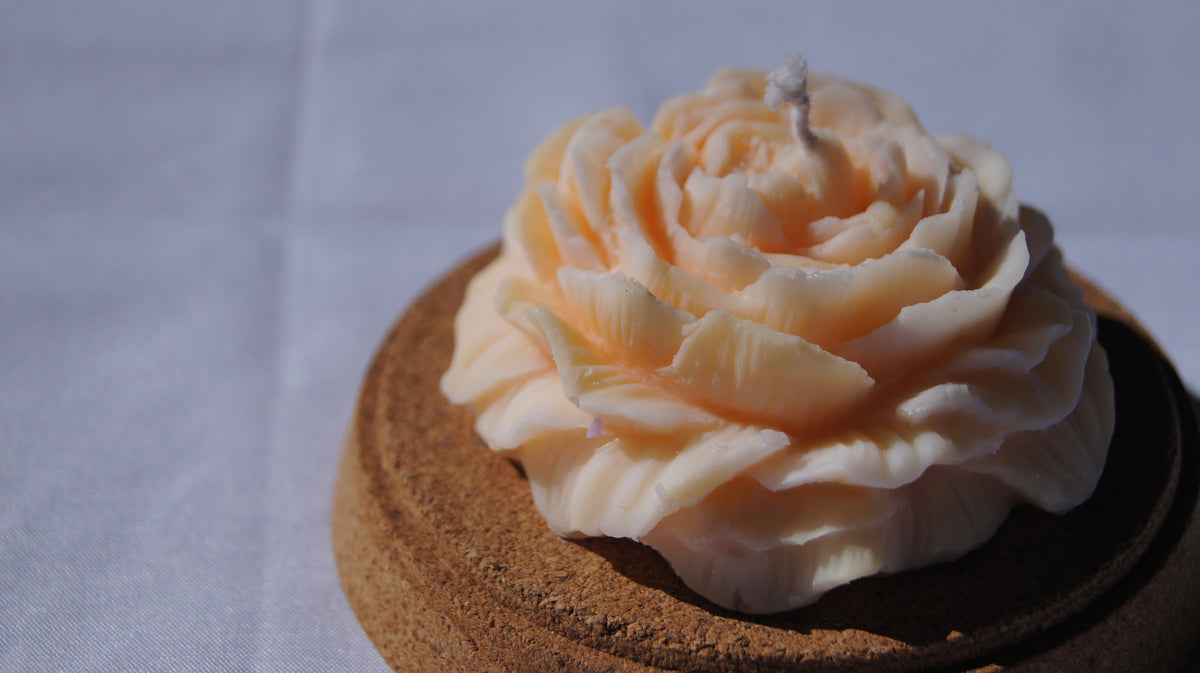 Bougie Pivoine – Fleur délicate